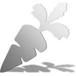 Carrot Mirror Design