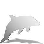 Dolphin Mirror Design