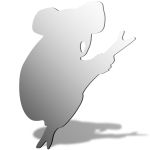 Koala Mirror Design
