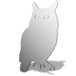 Owl Mirror Design