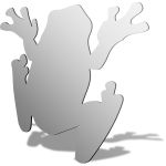 Frog Mirror Design