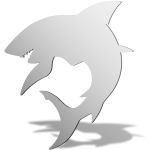 Shark Mirror Design