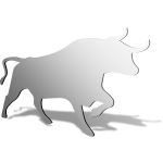 Bull Mirror Design