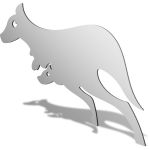Kangaroo Mirror Design