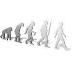 Evolution Mirror Design