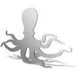 Octopus Mirror Design