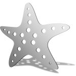 Starfish Mirror Design