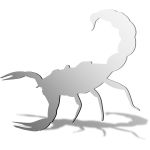 Scorpion Mirror Design