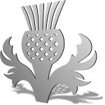 Scottish Thistle Mirror Design